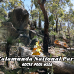 Kalamunda National Park Rocky Pool Walk