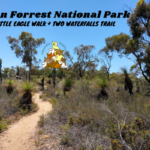 John Forrest National Park Little Eagle Walk Plus Two Waterfalls Trails