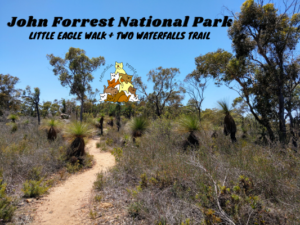 John Forrest National Park Little Eagle Walk Plus Two Waterfalls Trails