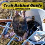 Crab Raking Guide South Australia