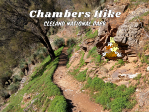 Chambers Gully Hike Cleland National Park