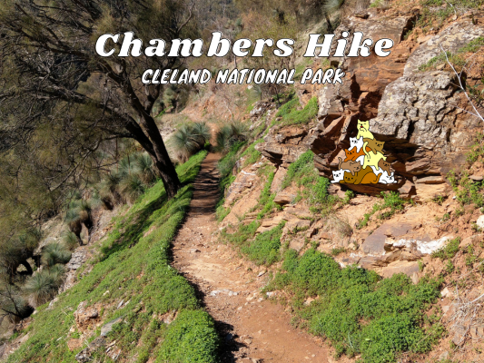 Chambers Gully Hike Cleland National Park