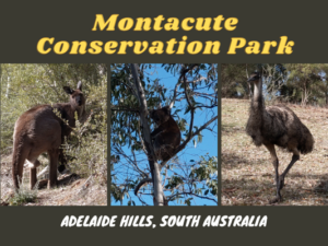 Montacute Conservation Park, Adelaide Hills, South Australia