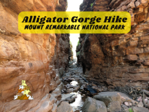 Alligator Gorge Ring Route Hike Mount Remarkable National Park South Australia
