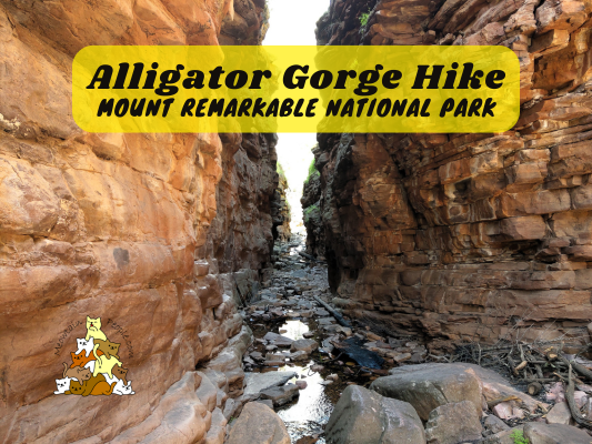 Alligator Gorge Ring Route Hike Mount Remarkable National Park South Australia