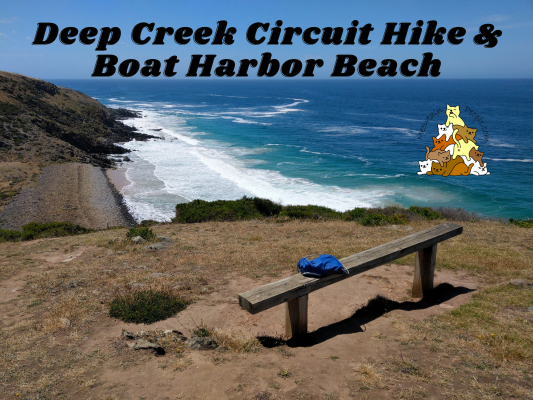 Deep Creek Circuit Hike and Boat Harbor Beach Circuit Hike
