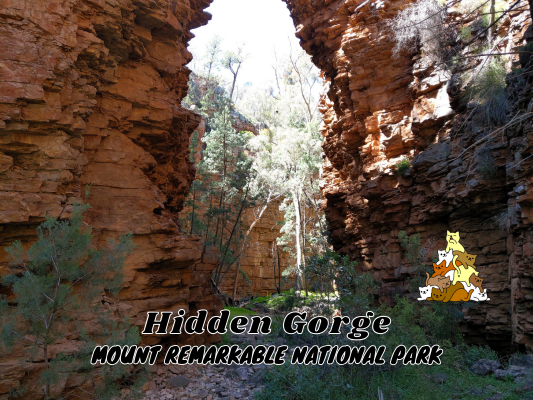 Hidden Gorge Hike Mount Remarkable National Park
