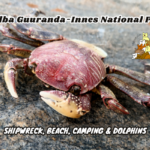 Dhilba Guuranda-Innes National Park Camping Shipwreck and Dolphins