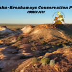 Kanku-Breakaways Conservation Park Coober Pedy